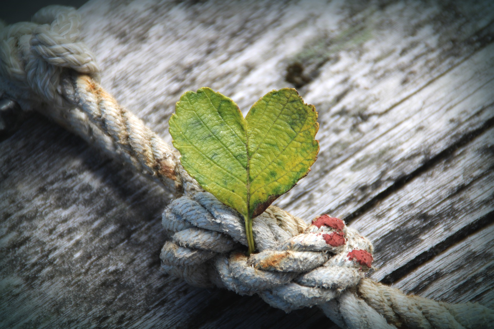 https://energikontorensverige.se/custom/uploads/2026/06/heart-4355253_1920.jpg