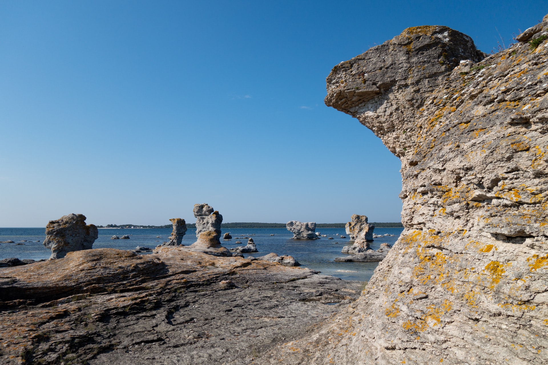https://energikontorensverige.se/custom/uploads/2026/06/nikola-johnny-mirkovic-nqianzwsrva-unsplash.jpg